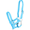 Harry's Horse Licol pour Poulain Bleu clair