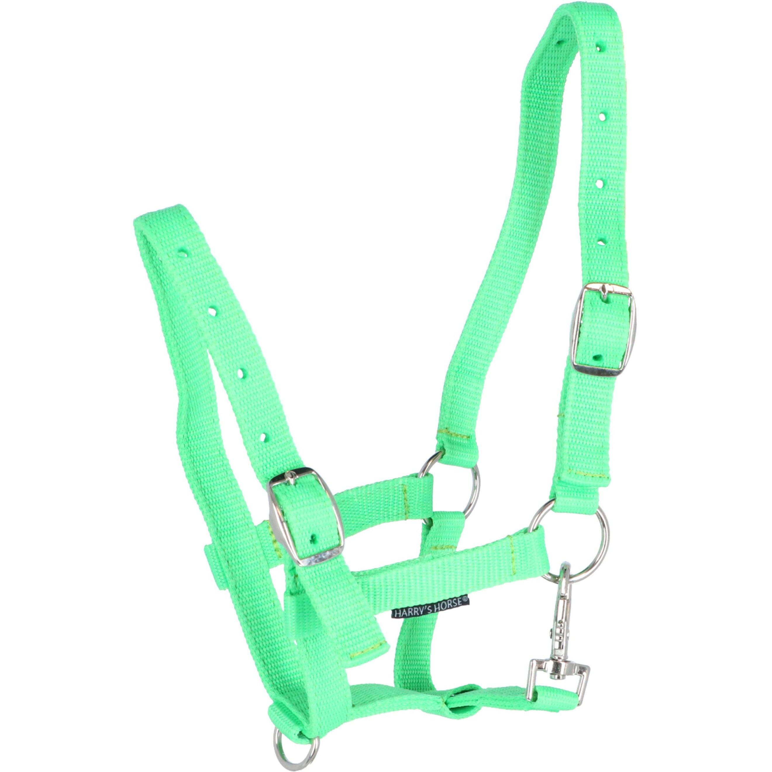 Harry's Horse Licol pour Poulain Limette doux Harry's Horse Licol pour Poulain Limette doux