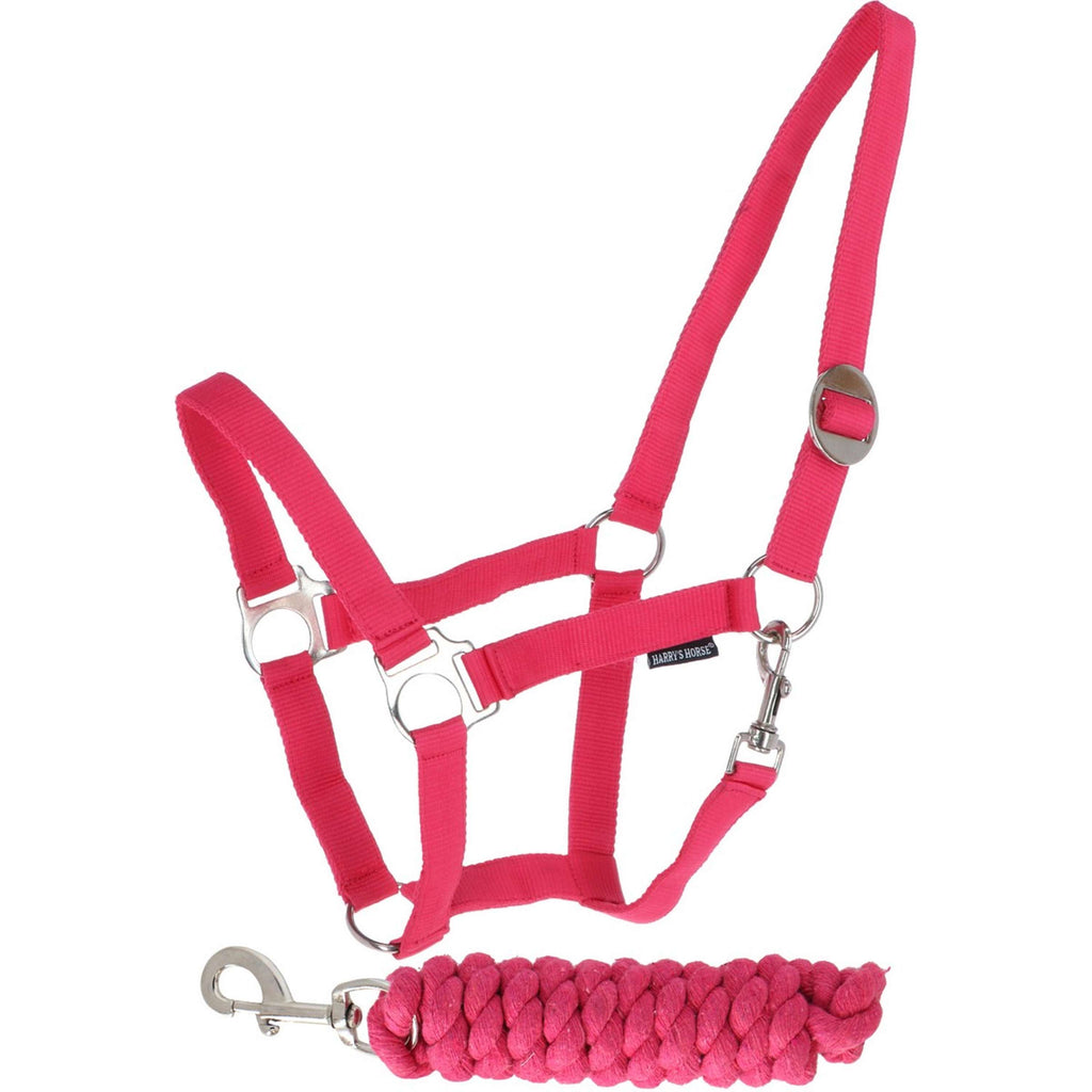Harry's Horse Ensemble Licol Initial Fuchsia