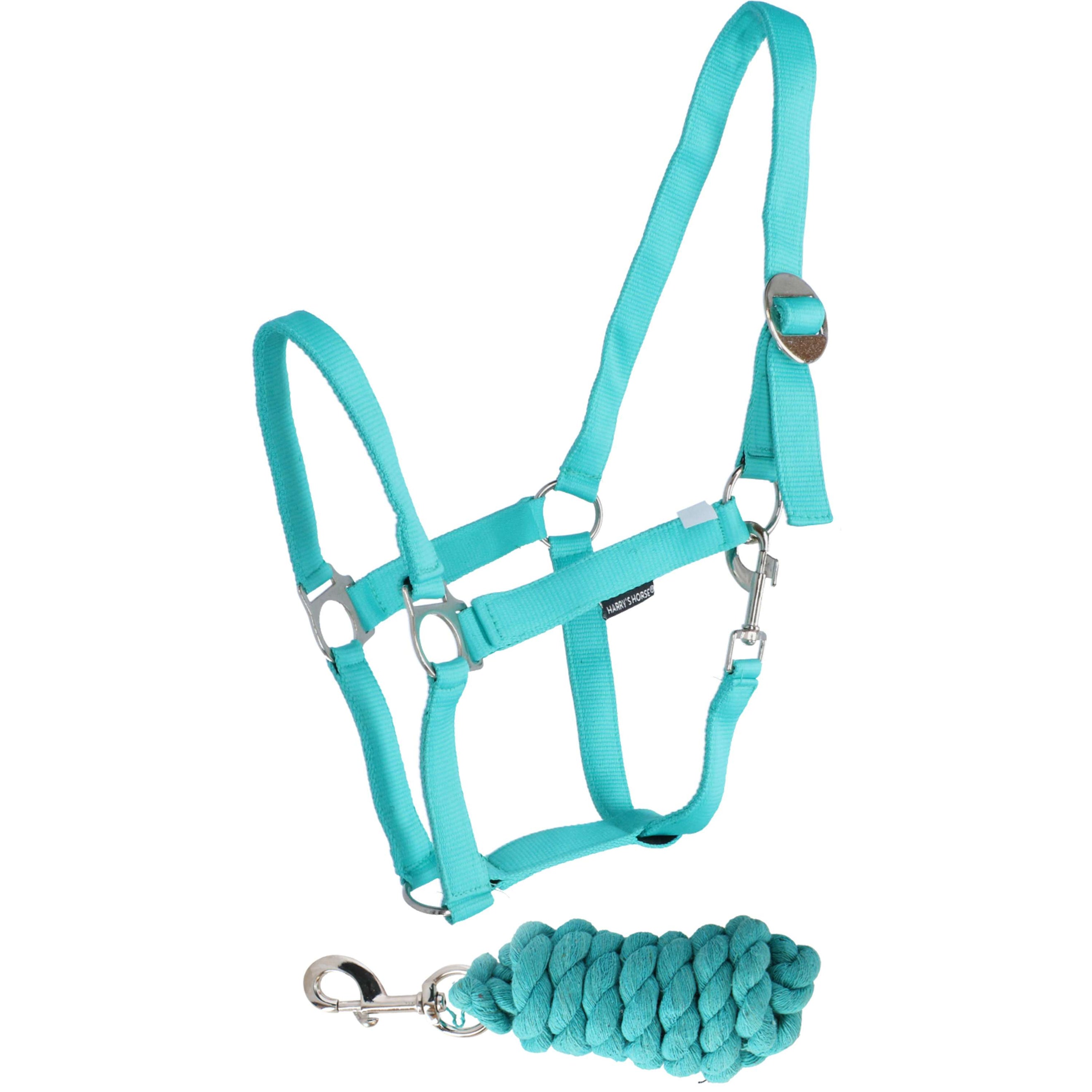 Harry's Horse Ensemble Licol Initial Turquoise