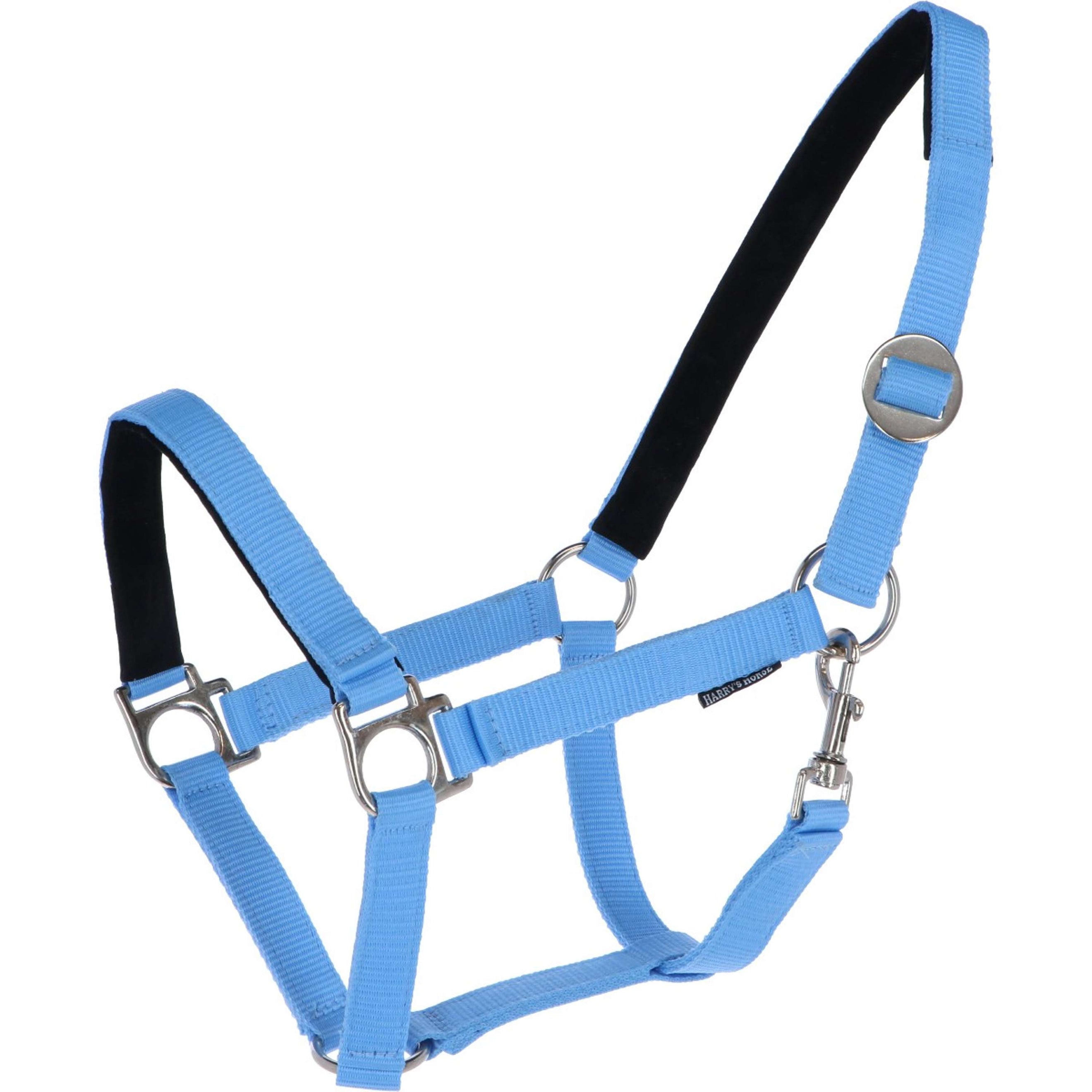 Harry's Horse Licol Padded Bleu clair Harry's Horse Licol Padded Bleu clair