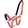 Harry's Horse Licol Padded Orange