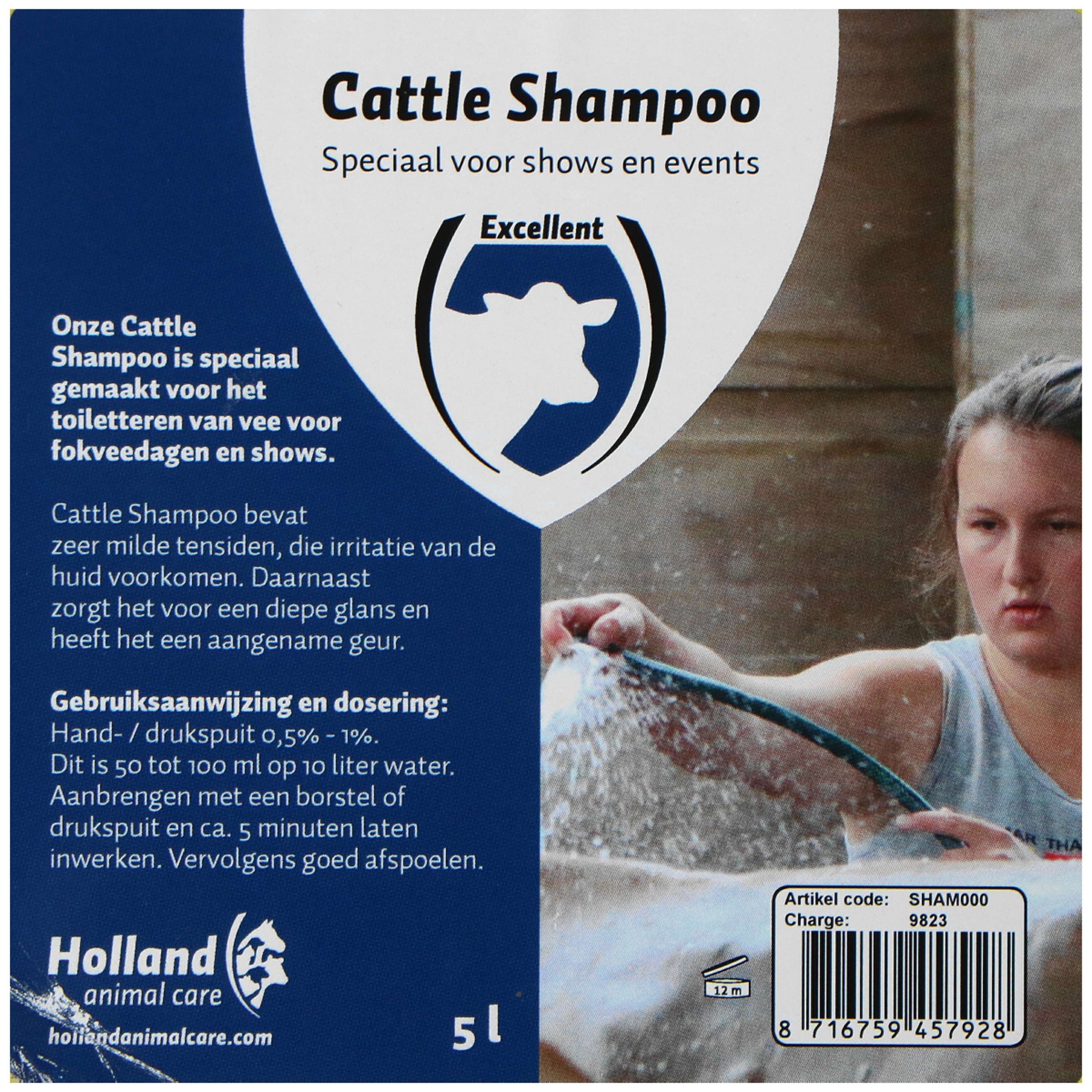Excellent Shampooing Cattle