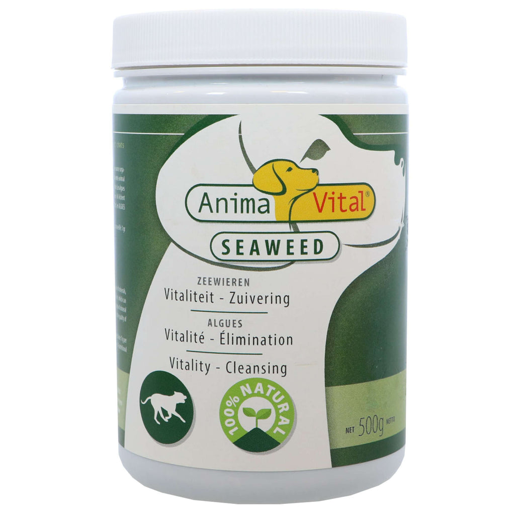 Animavital Algues marines