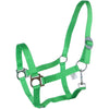 HKM Licol Stars Economy Vert clair