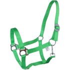 HKM Licol Stars Economy Vert clair