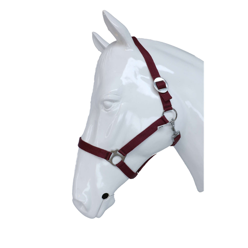 HKM Licol Stars Economy Rouge foncé
