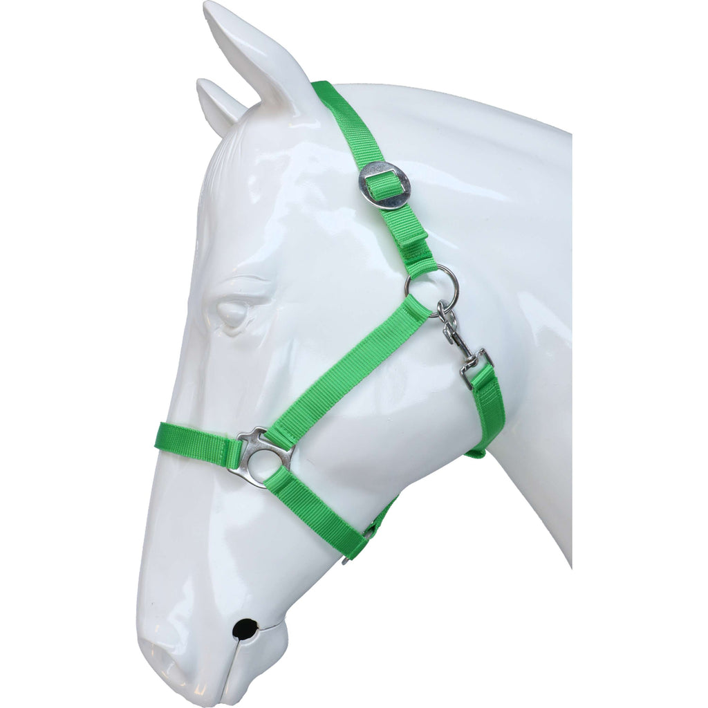 HKM Licol Stars Economy Vert clair