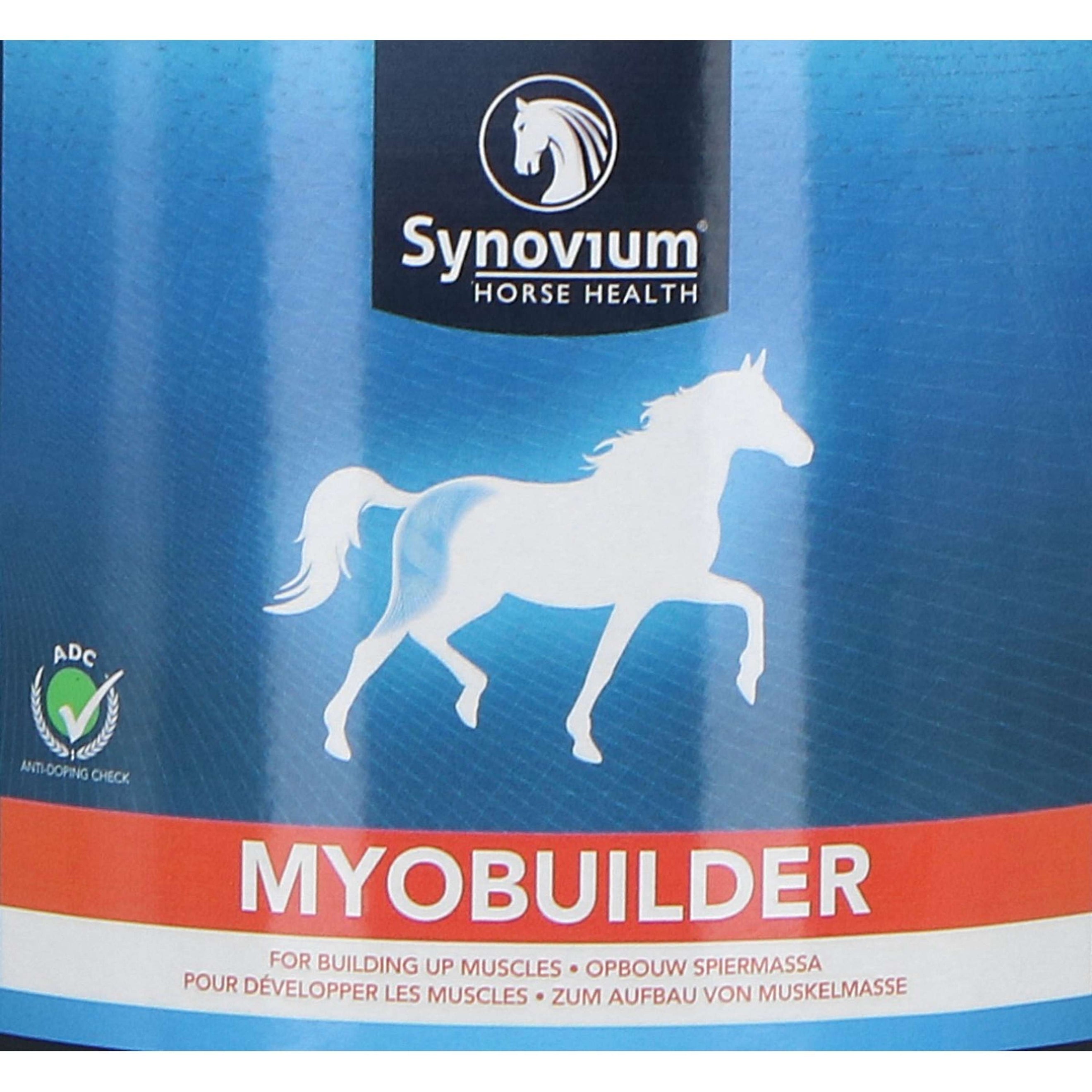 Synovium Myobuilder Synovium Myobuilder