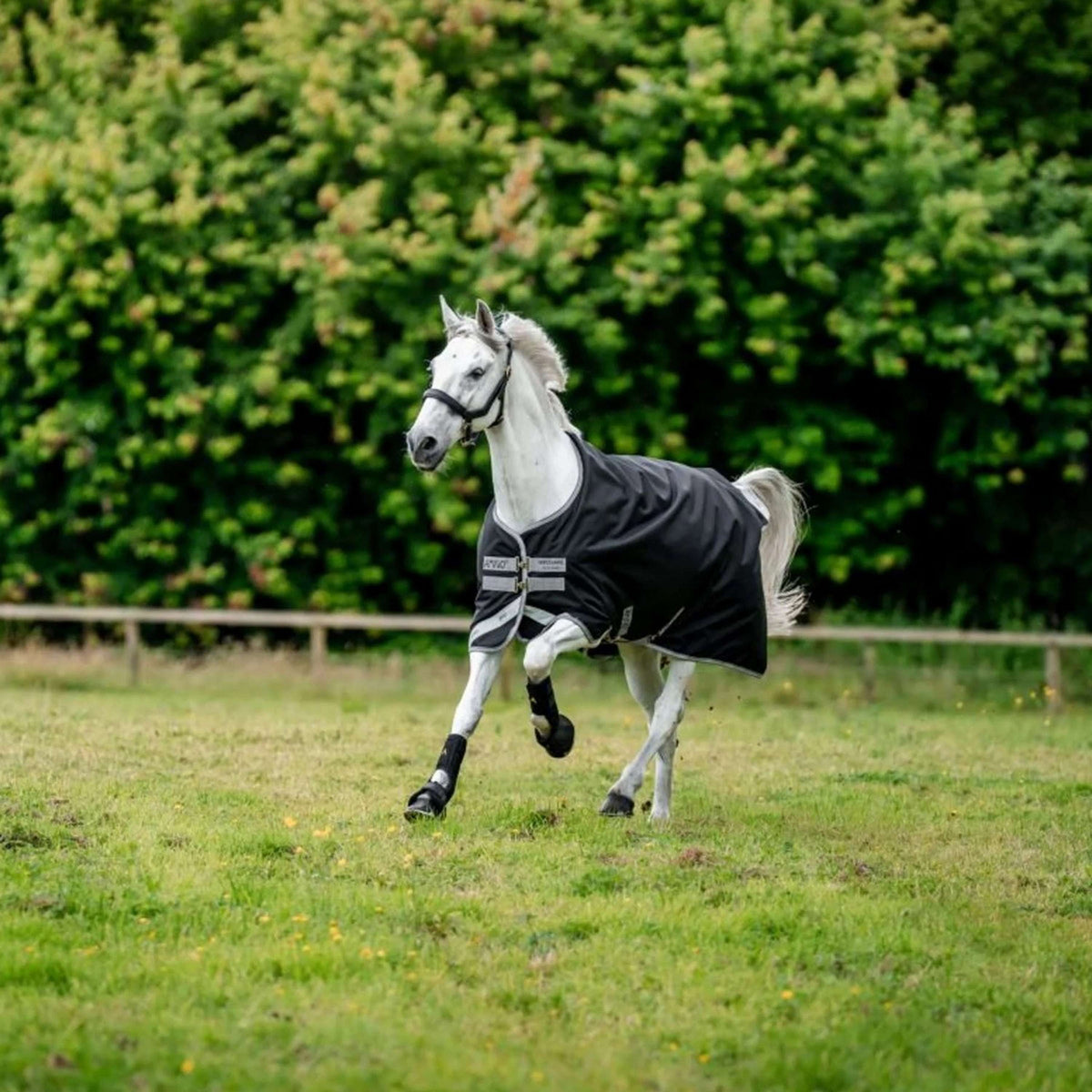 Amigo Turnout Medium Bravo 12 250g Black/Titanium Grey