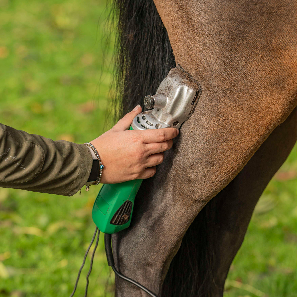 Agradi Horse Tondeuse HC-2000 Cheval Vert