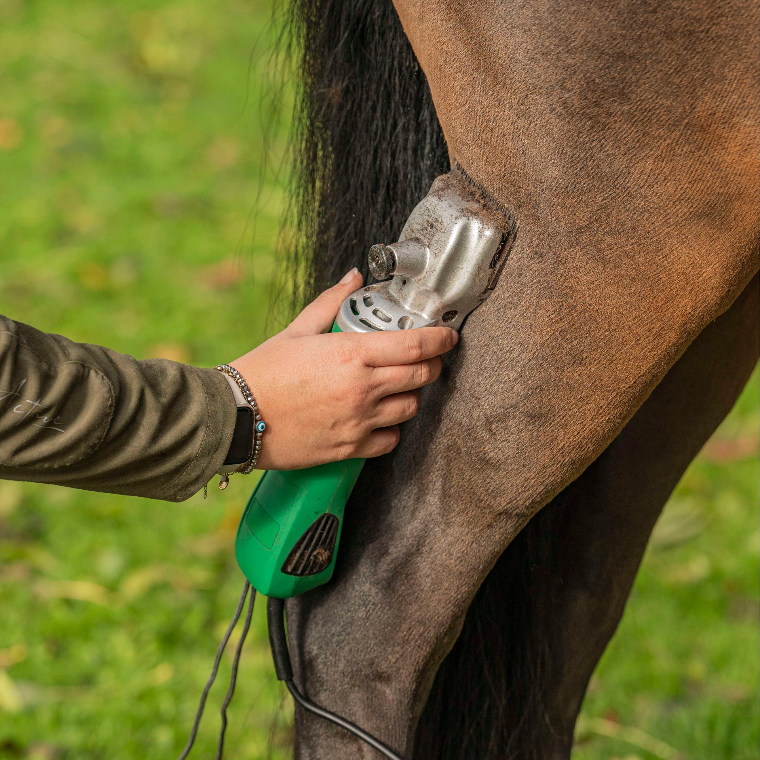 Agradi Horse Tondeuse HC-2000 Cheval Vert