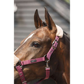 ANKY Ensemble Licol Check Velvet ATH25002 Mellow Mauve