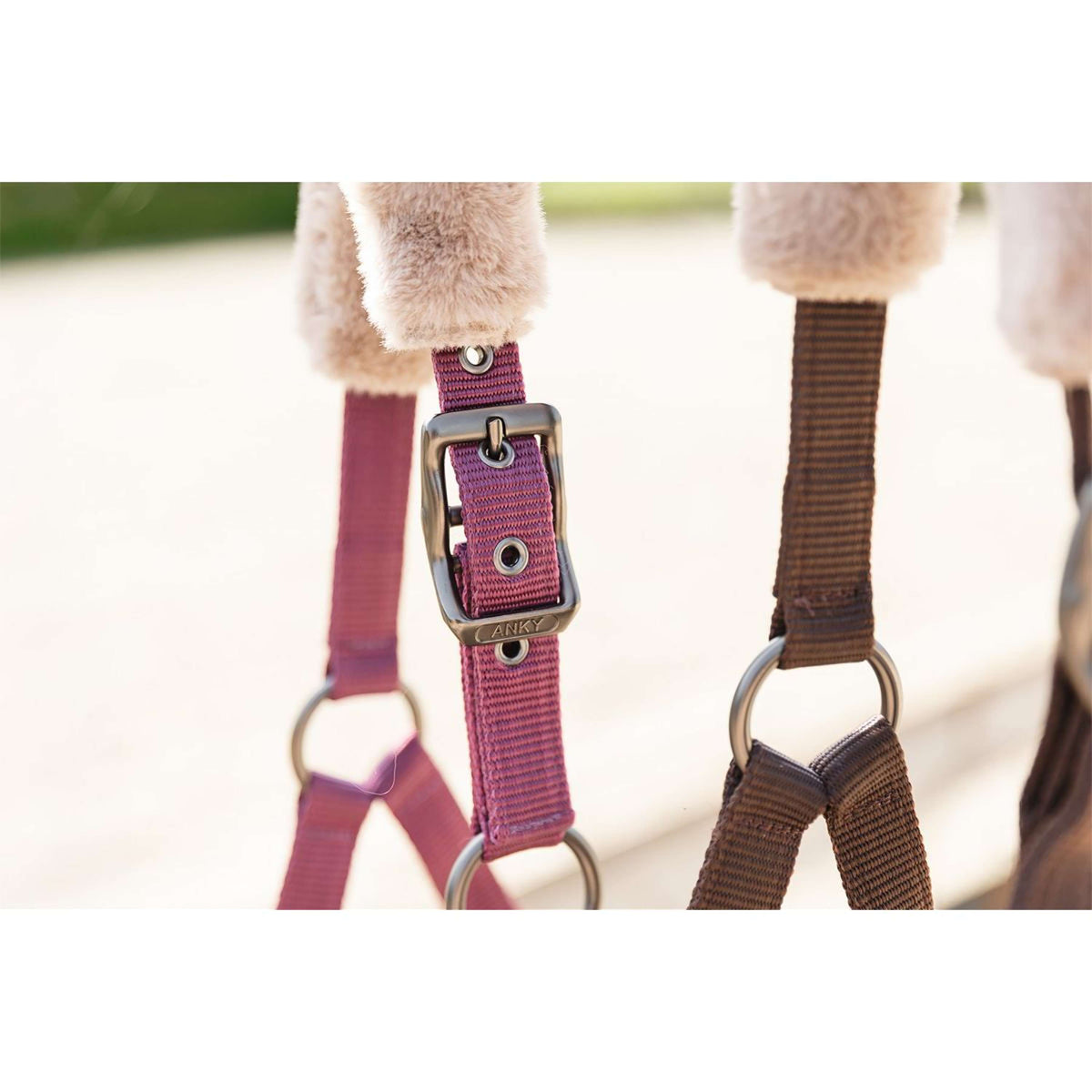 ANKY Ensemble Licol Check Velvet ATH25002 Mellow Mauve