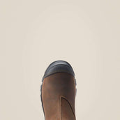 Ariat Jodhpurs Treadfast Chelsea Waterproof Steel Toe Hommes Marron foncé