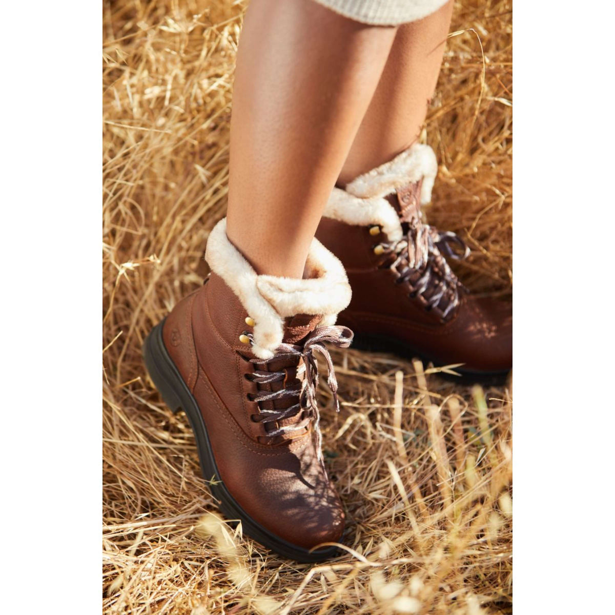 Ariat Chaussures d'Extérieur Harper Sherpa H2O Marron foncé