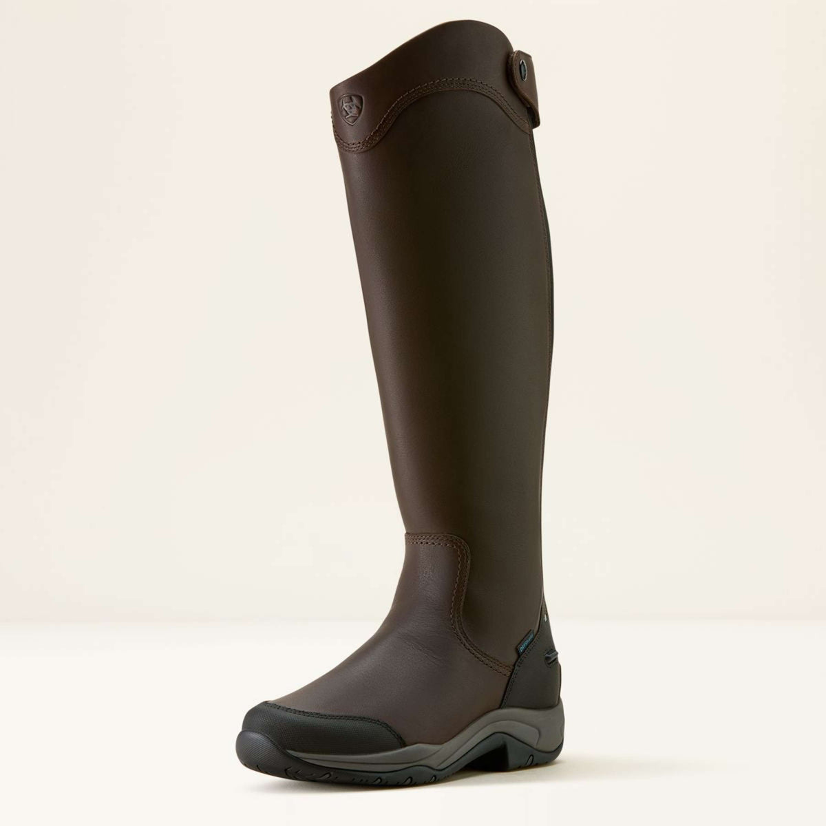 Ariat Bottes d'Équitation Telluride Tall H2O Marron foncé