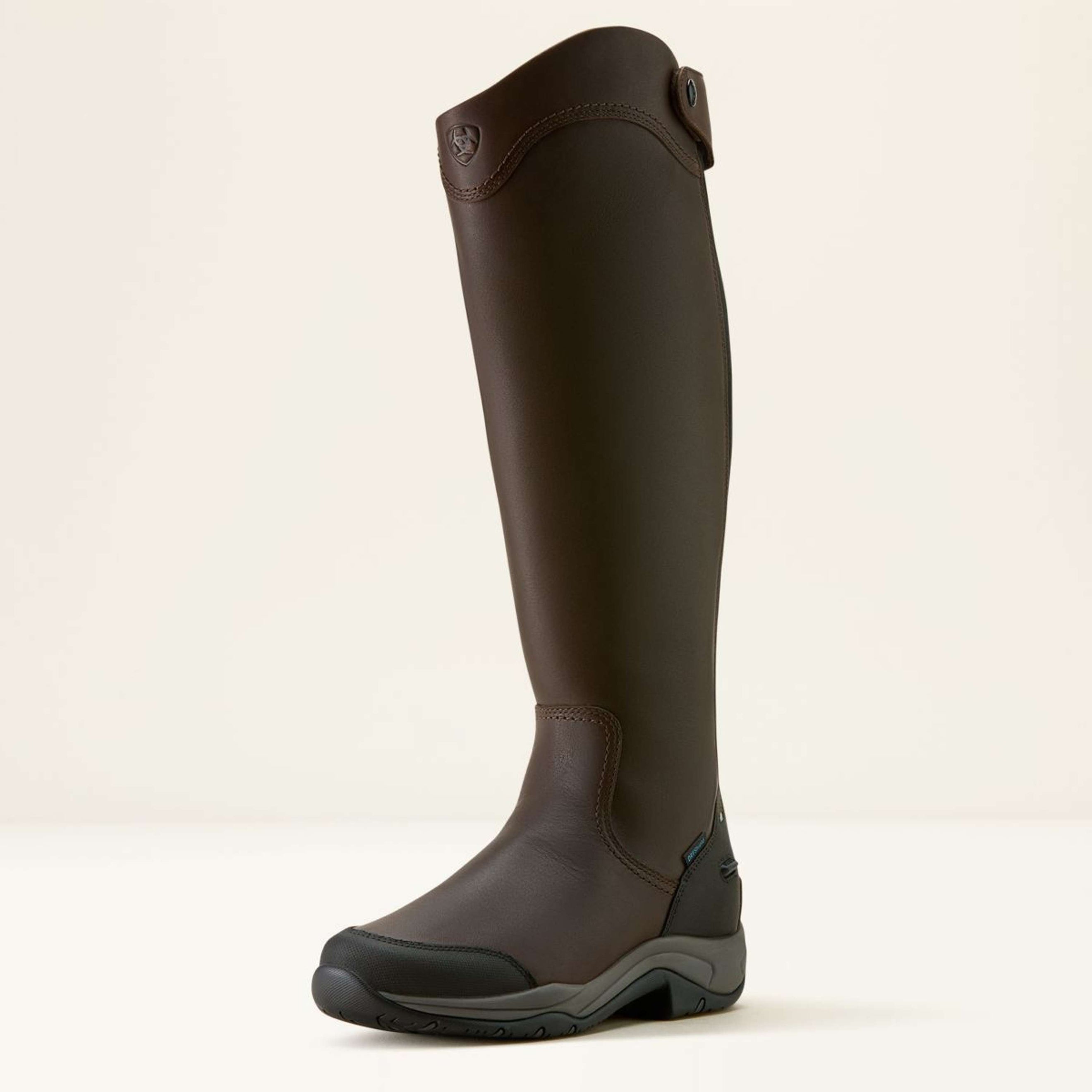 Ariat Bottes d'Équitation Telluride Tall H2O Marron foncé