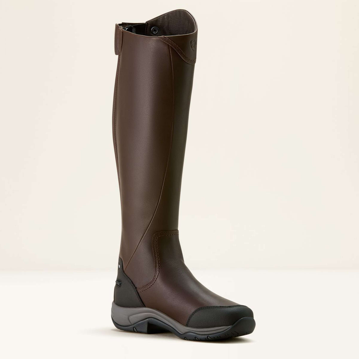 Ariat Bottes d'Équitation Telluride Tall H2O Marron foncé