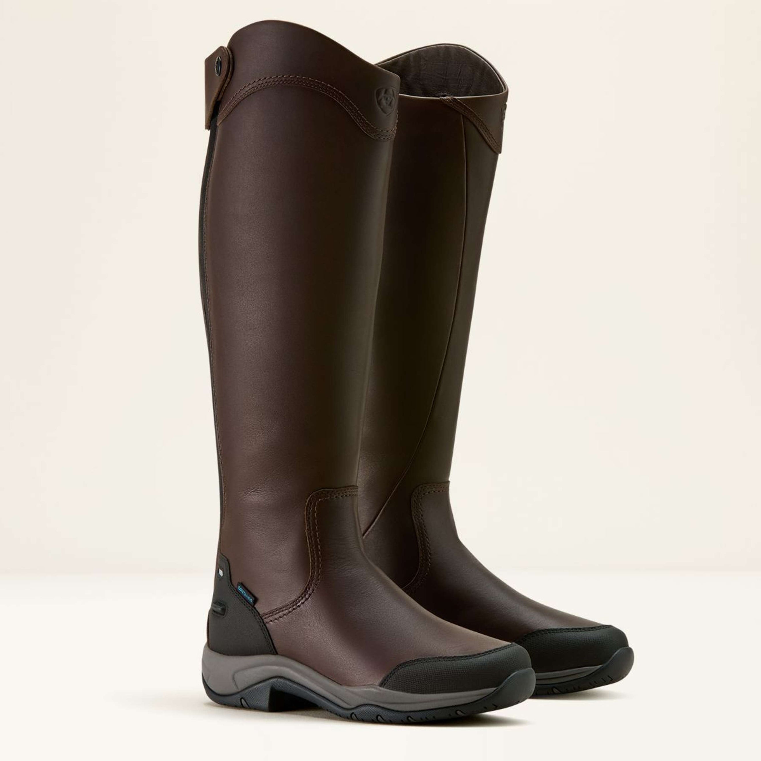 Ariat Bottes d'Équitation Telluride Tall H2O Marron foncé