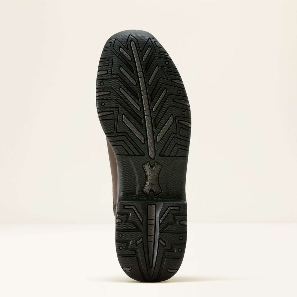 Ariat Bottes d'Équitation Telluride Tall H2O Marron foncé