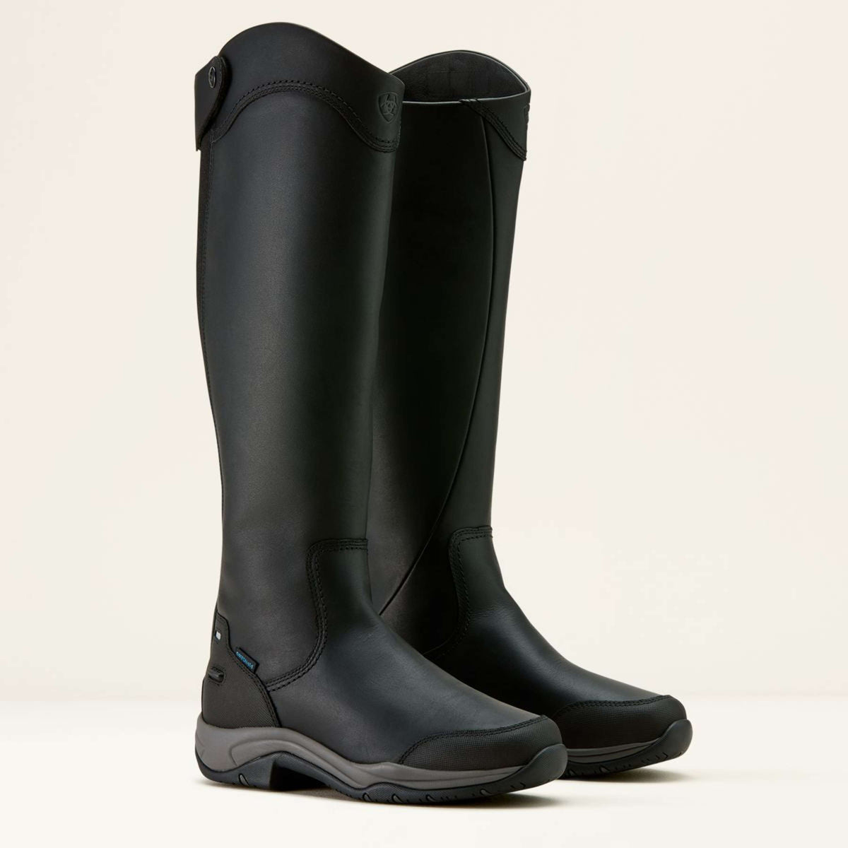Ariat Bottes d'Équitation Telluride Tall H2O Noir