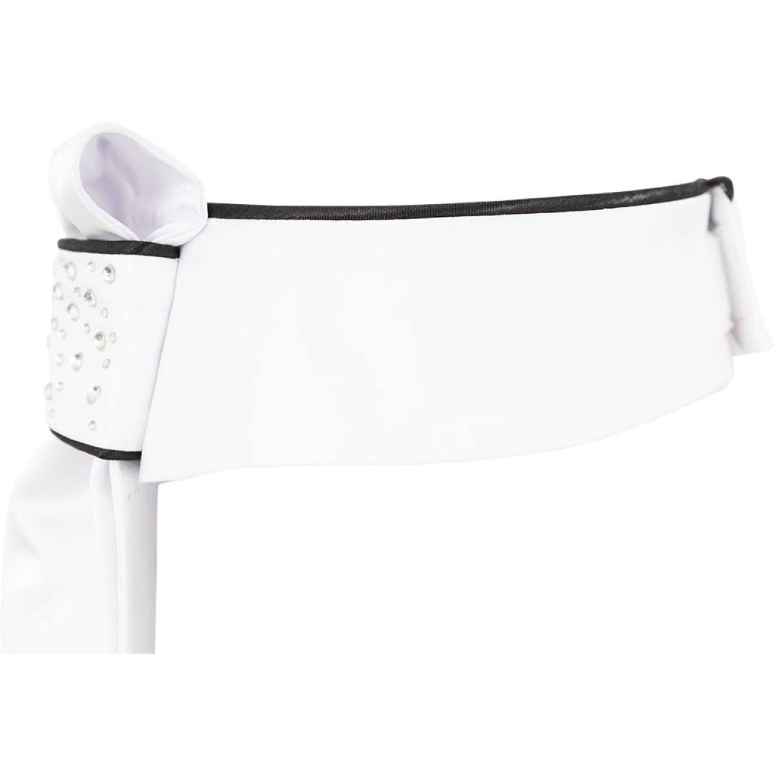 BR Plastron Leon Noir BR Plastron Leon Noir