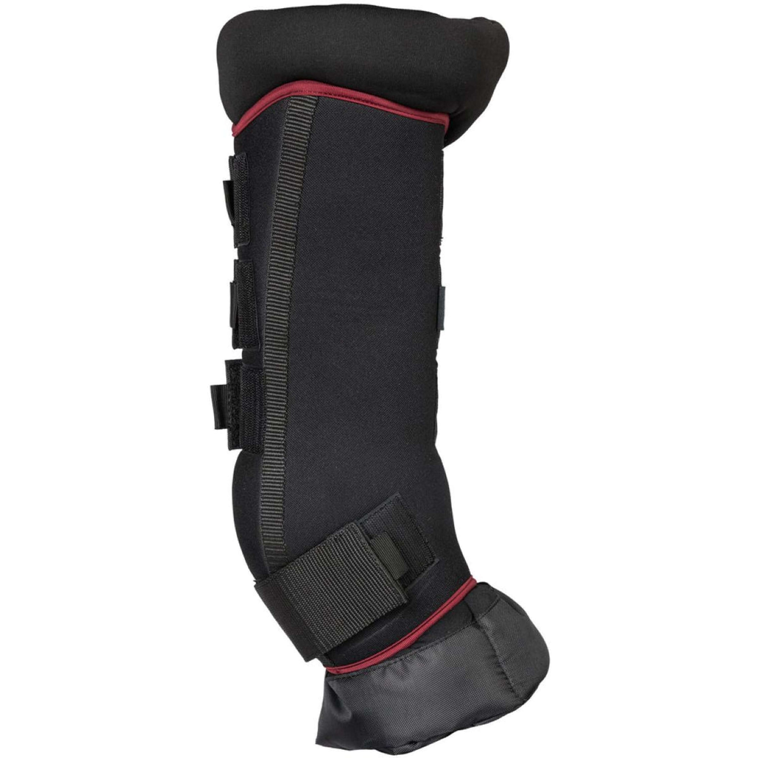 Back on Track Guêtres d'écurie Royal Deluxe Vin rouge Back on Track Guêtres d'écurie Royal Deluxe Vin rouge