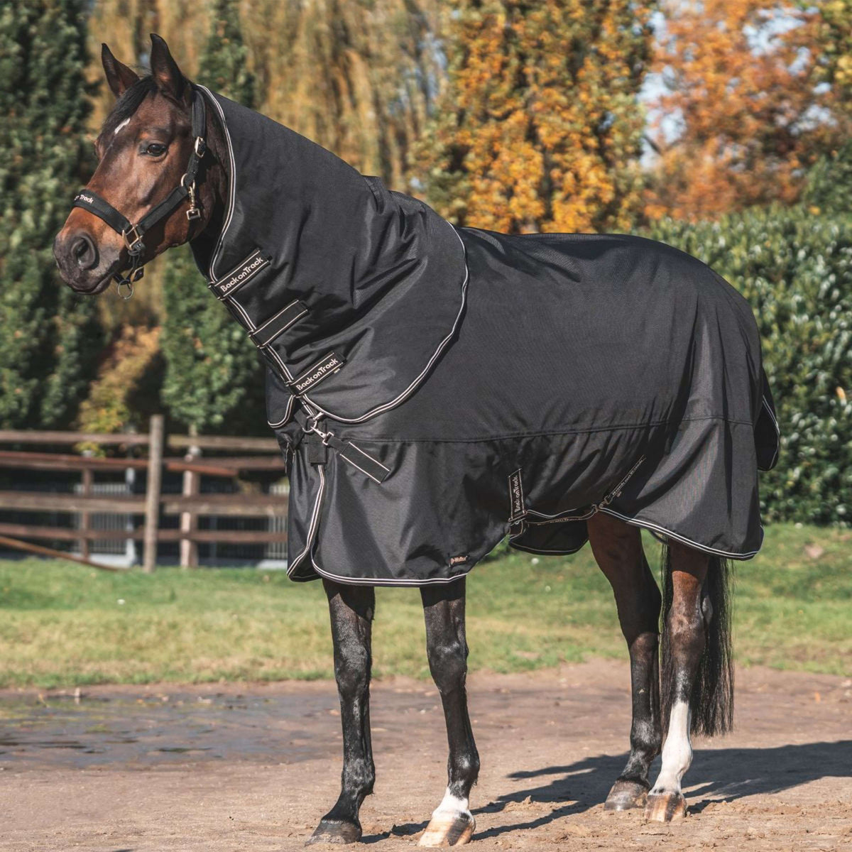 Couverture d'extérieur pour cheval QHP Luxury 0g QHP | Decathlon Couverture d'extérieur pour cheval QHP Luxury 0g QHP | Decathlon
