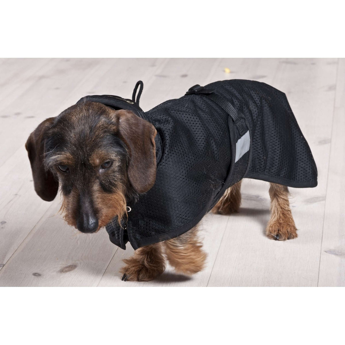 Back on Track Couverture pour Chien Chemise Séchante Teckel Noir