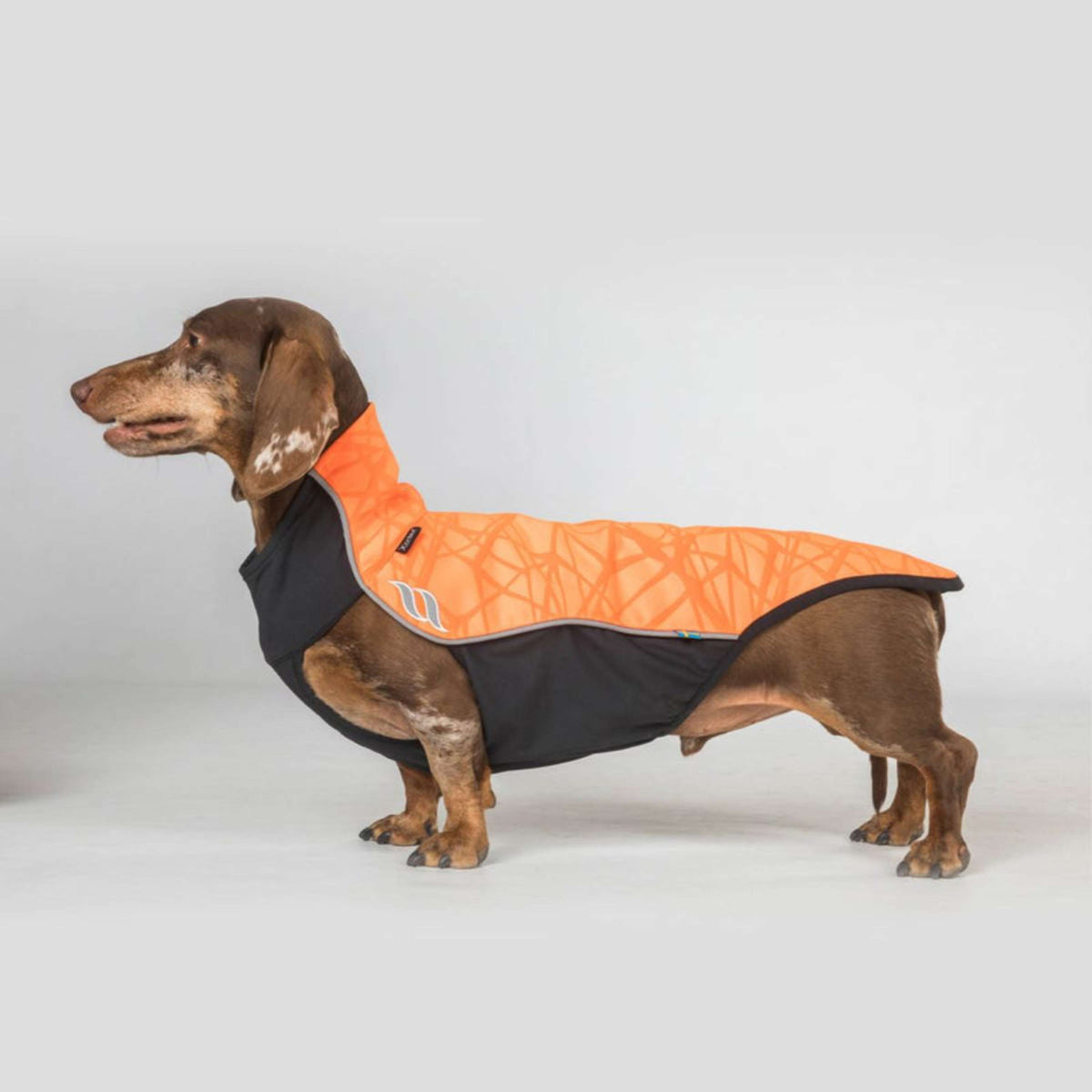 Back on Track Couverture pour Chien Eddie High Visibility Jumper Petite Orange