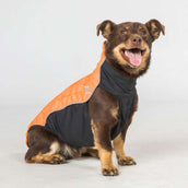 Back on Track Couverture pour Chien Eddie High Visibility Jumper Petite Orange