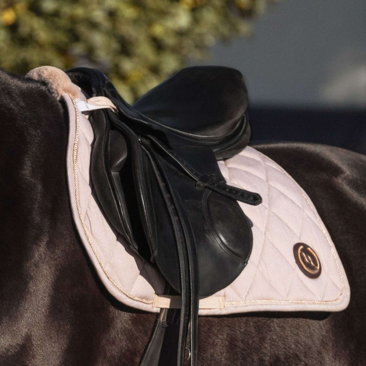 Back on Track Tapis de Selle Haze Dressage Beige clair