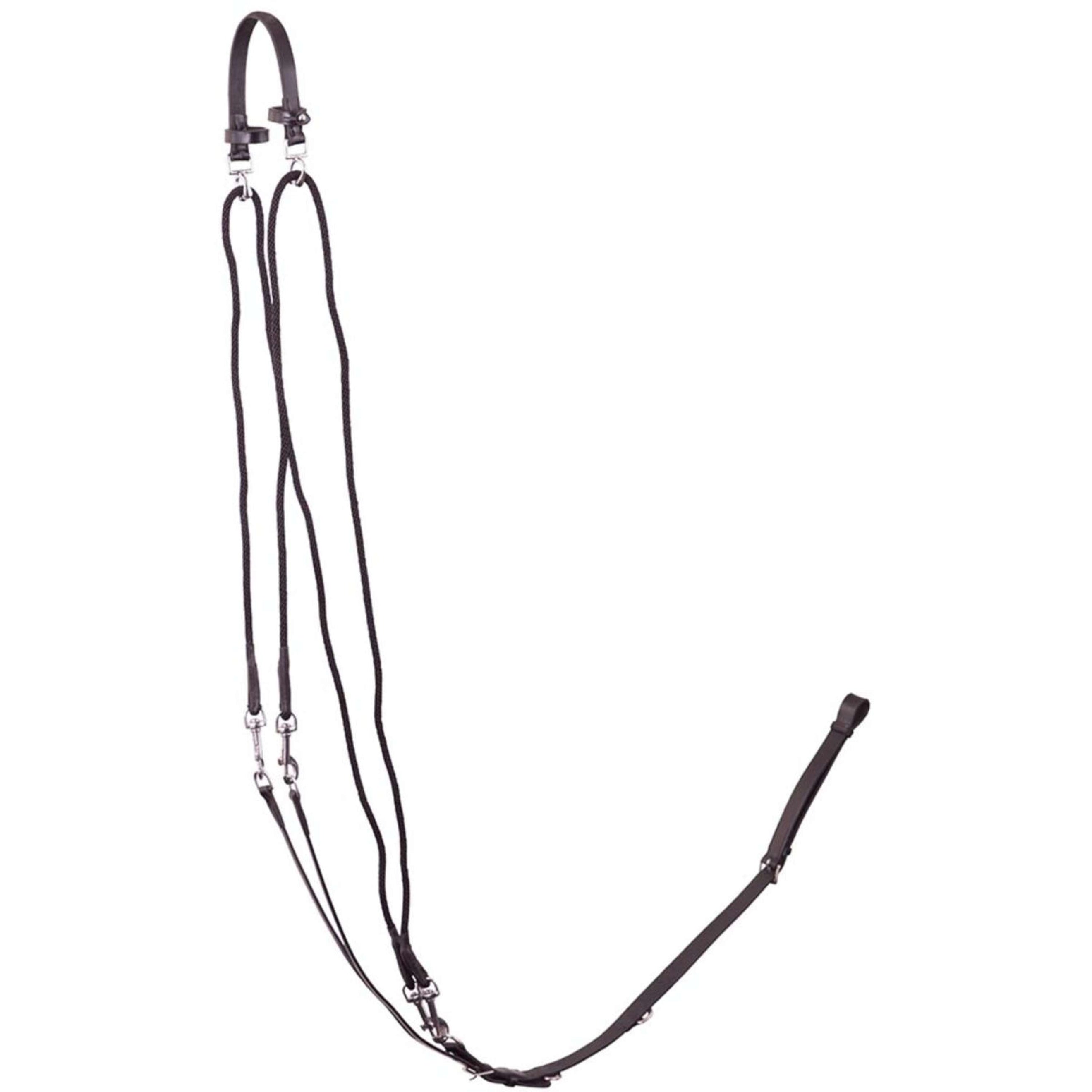 Premiere Gogue avec Martingale Noir Premiere Gogue avec Martingale Noir