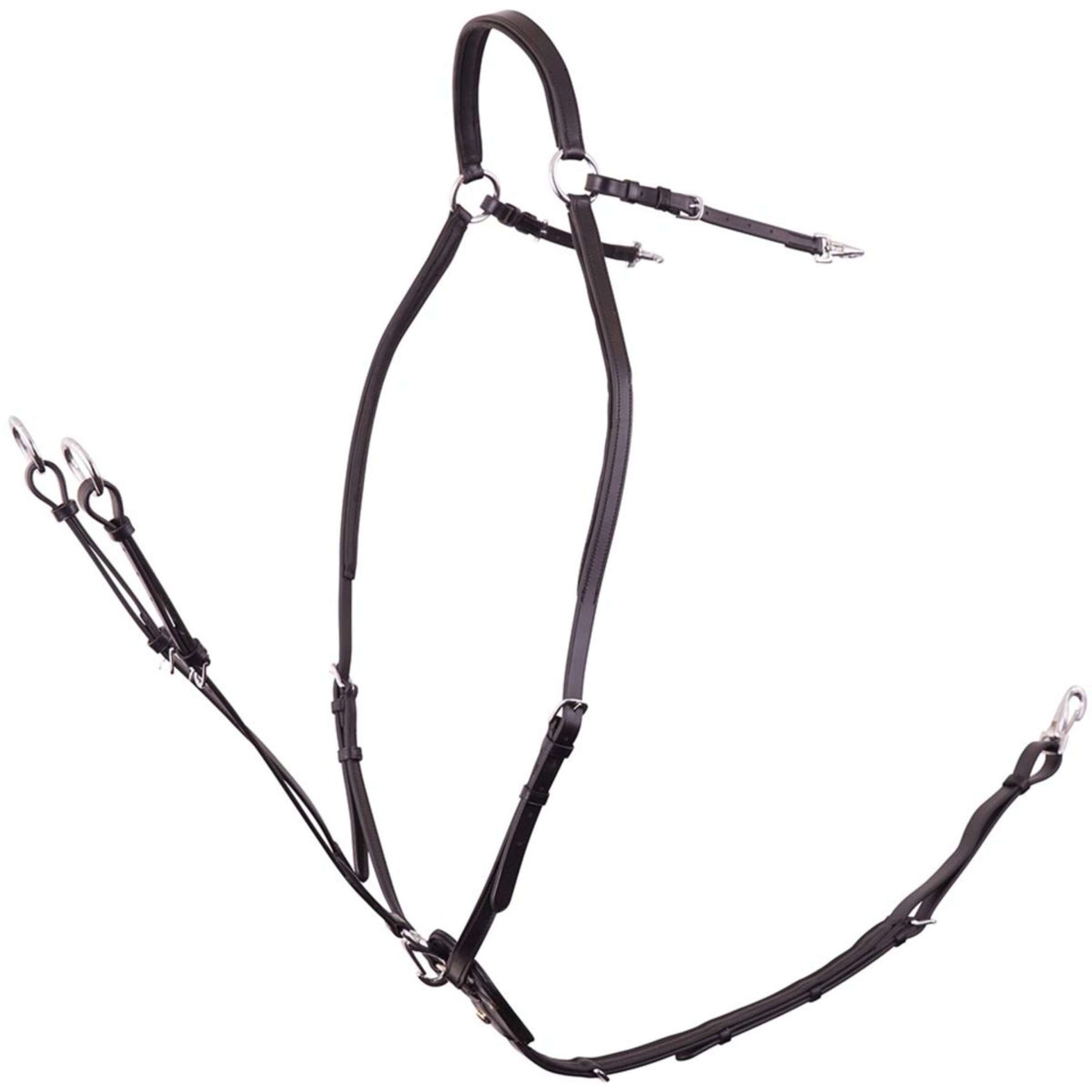 BR Collier de Chasse Rayleigh avec Sangles de Selle Noir/Argent BR Collier de Chasse Rayleigh avec Sangles de Selle Noir/Argent