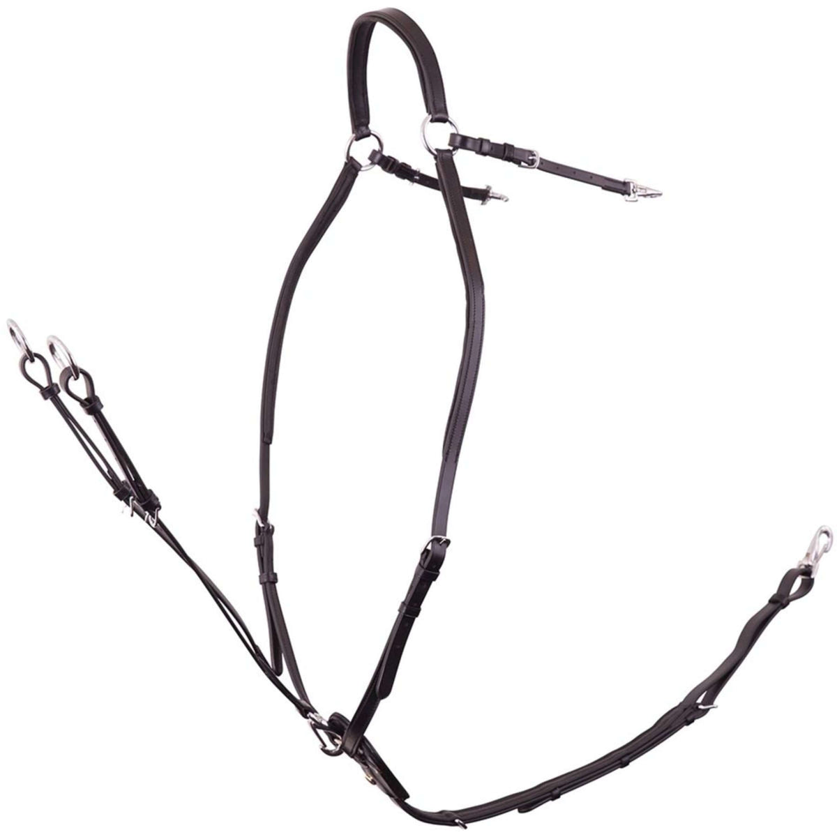 BR Collier de Chasse Rayleigh avec Sangles de Selle Noir/Argent