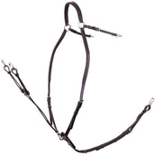 BR Collier de Chasse Rayleigh avec Sangles de Selle Noir/Argent