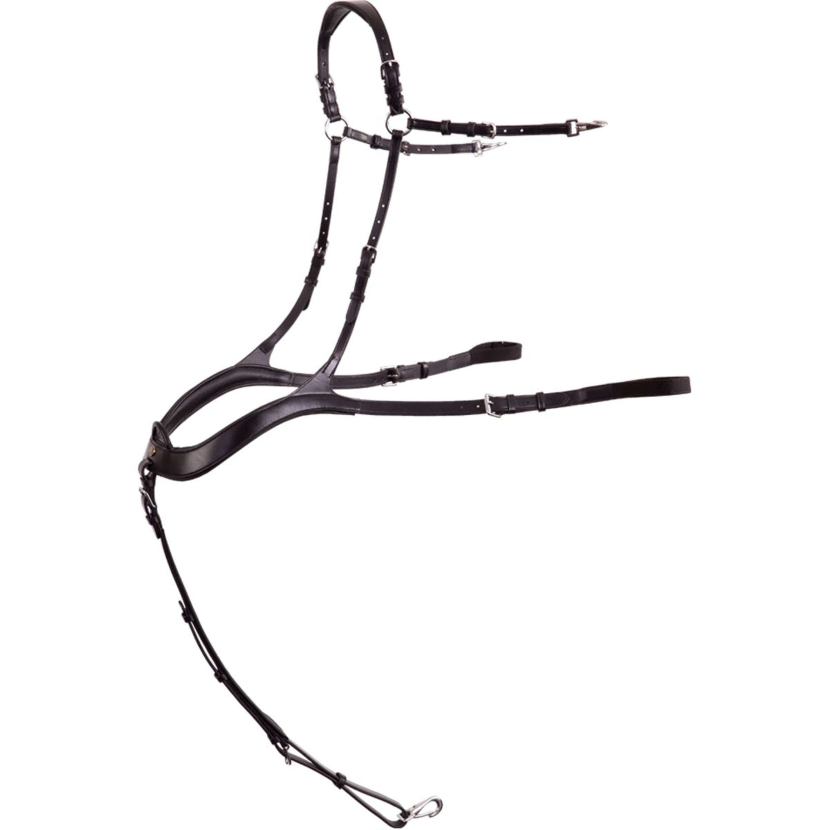 BR Collier de Chasse Heywood Anatomique Noir/Argent