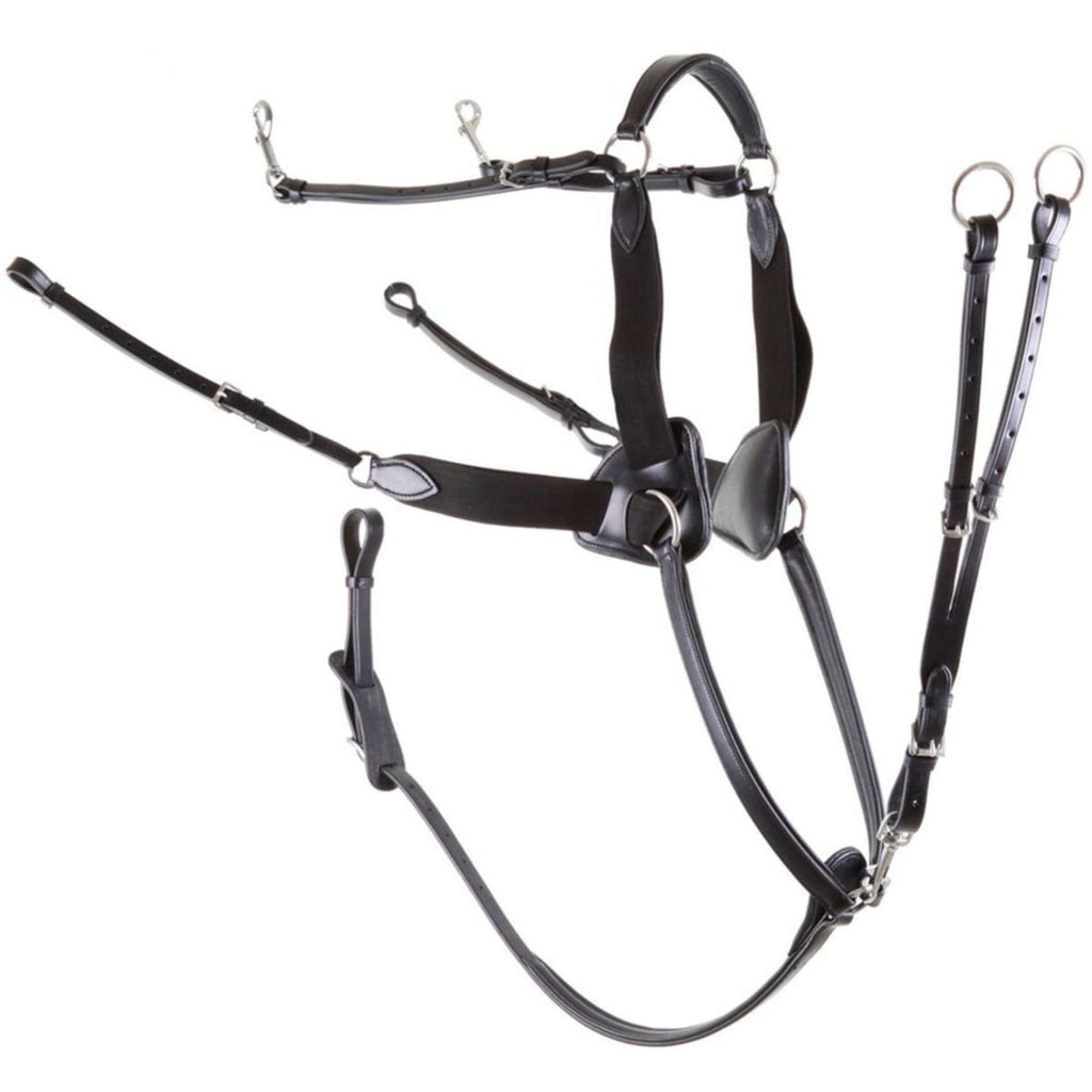 Premiere Collier de Chasse 5 Points Élastique Noir
