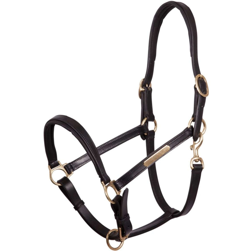 Premiere Licol Cuir Fourré Double Réglable Noir