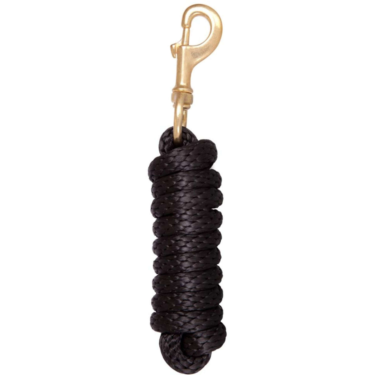 BR Laisse Nylon avec Mousqueton Laiton Noir