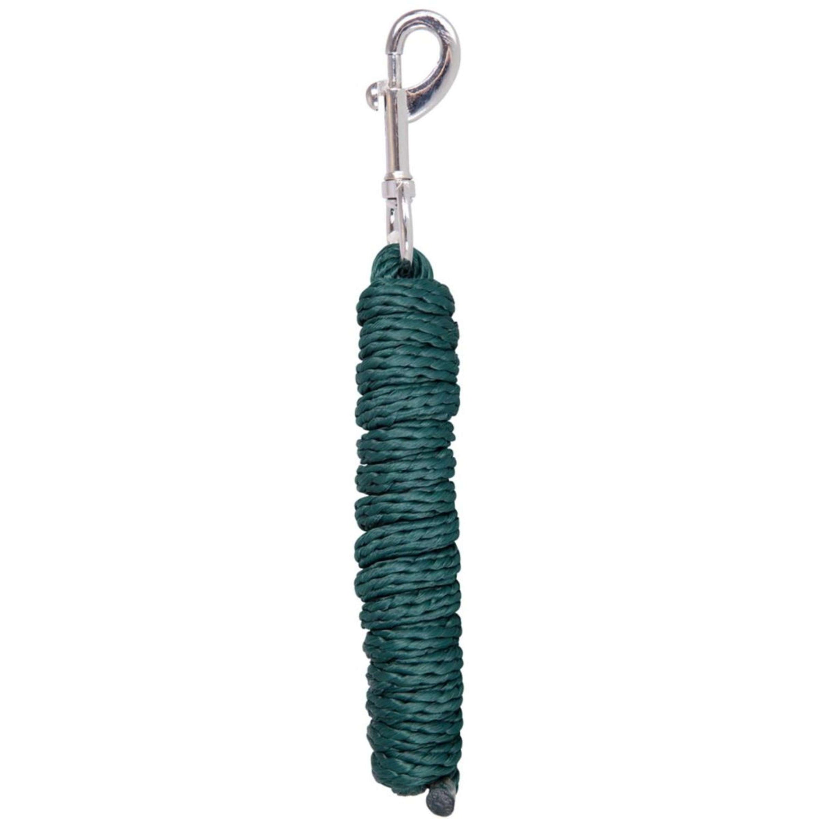 Premiere Laisse Premium avec Mousqueton Vert