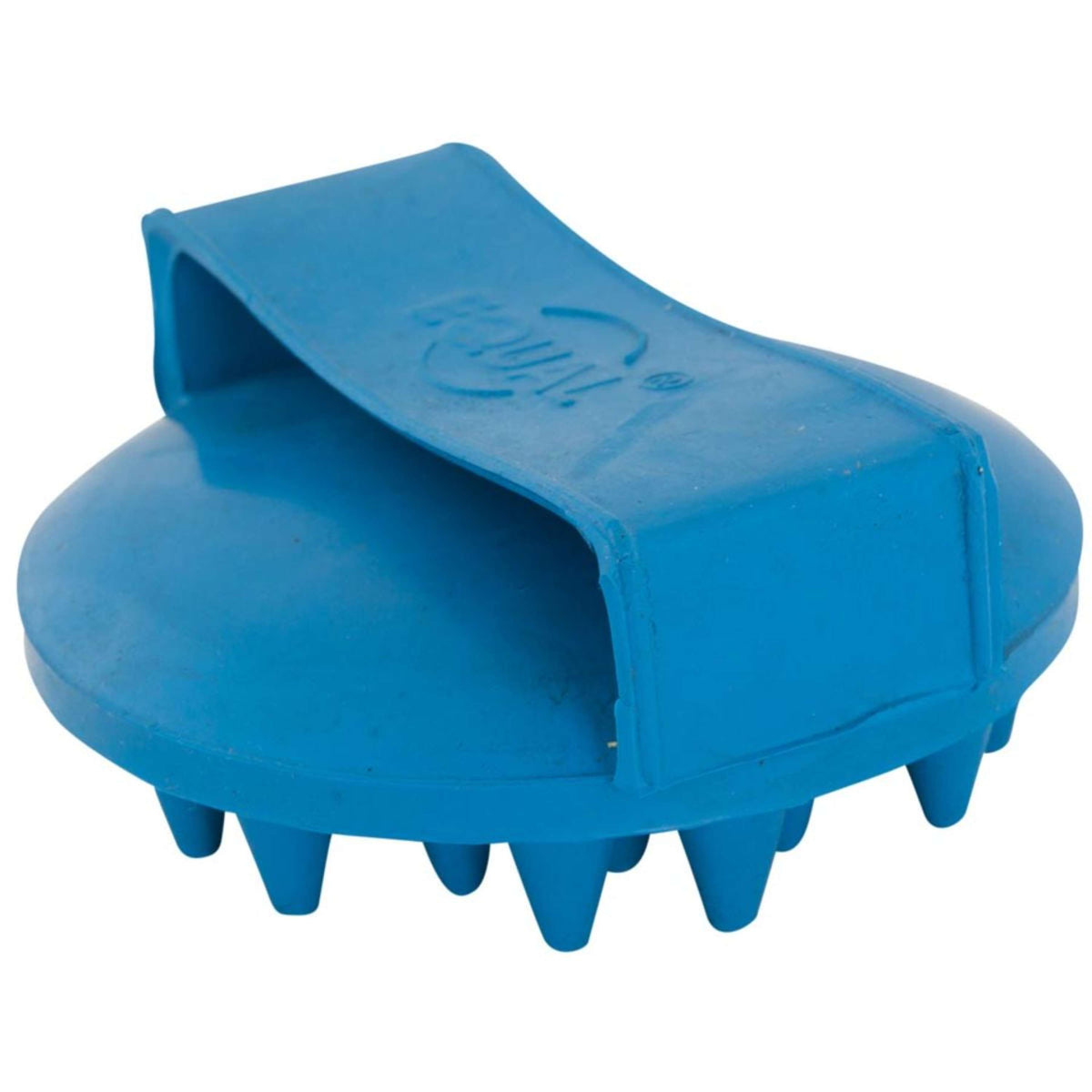 Premiere Brosse pour Massage et Brossage Caoutchouc Rond Et Épais Bleu