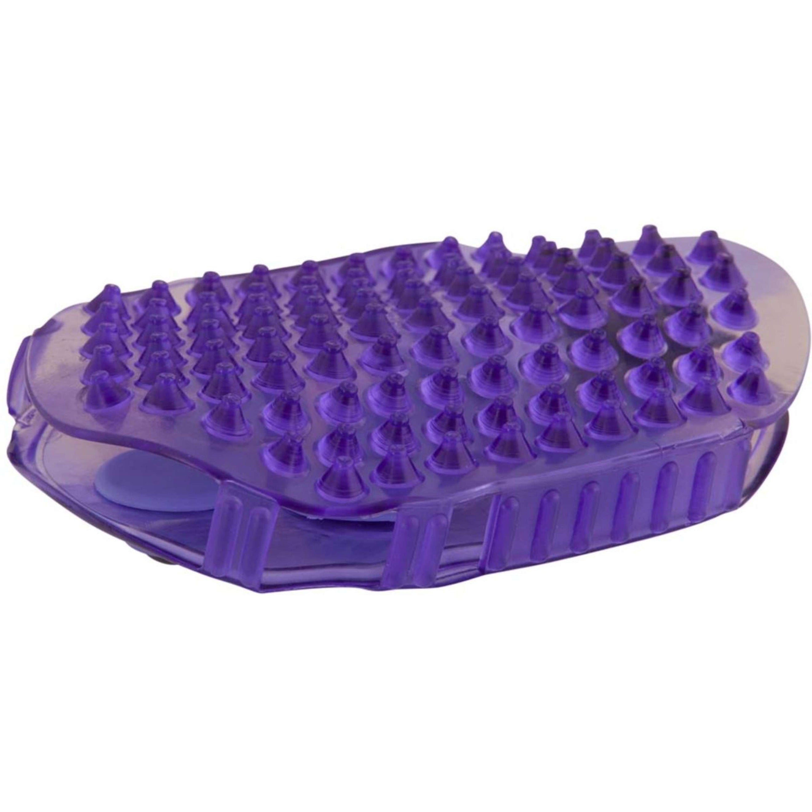 Premiere Brosse de Massage Acier Inoxydable Rouleaux Violet