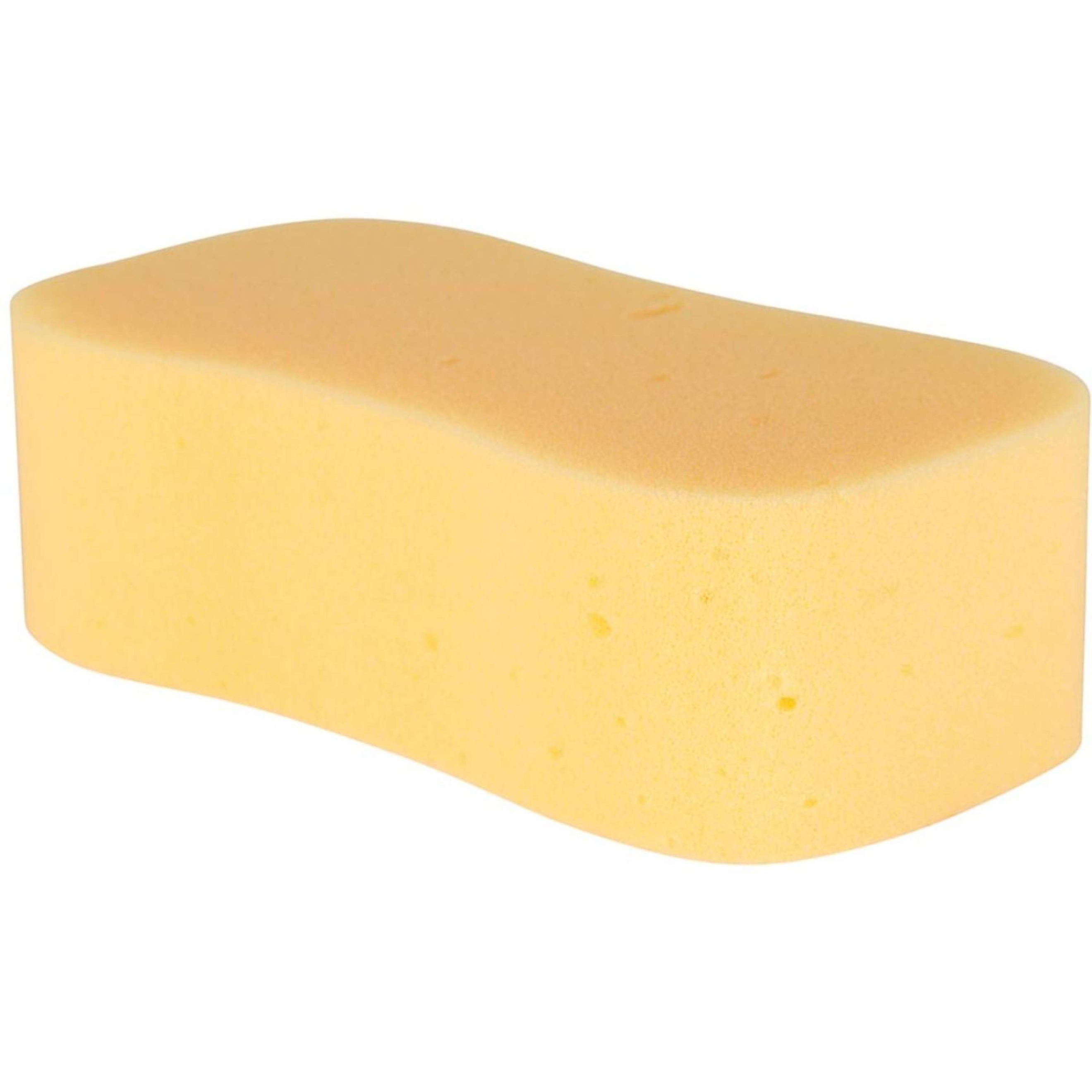 Carr & Day & Martin Eponge Horse Care Sponge Carr & Day & Martin Eponge Horse Care Sponge