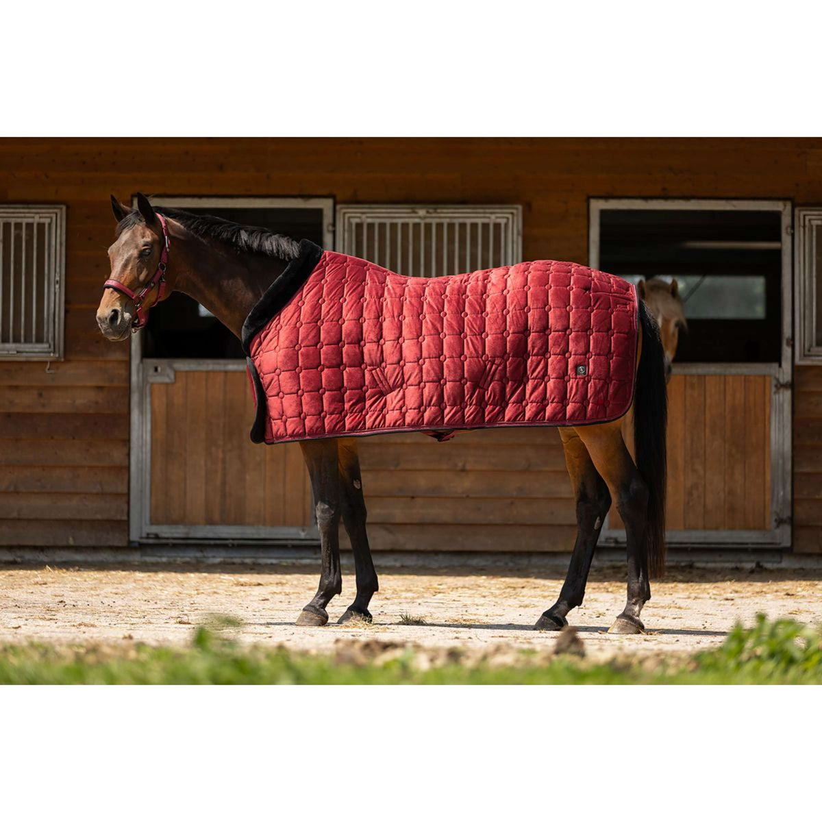 BR Couverture de Concours CLX Cabernet