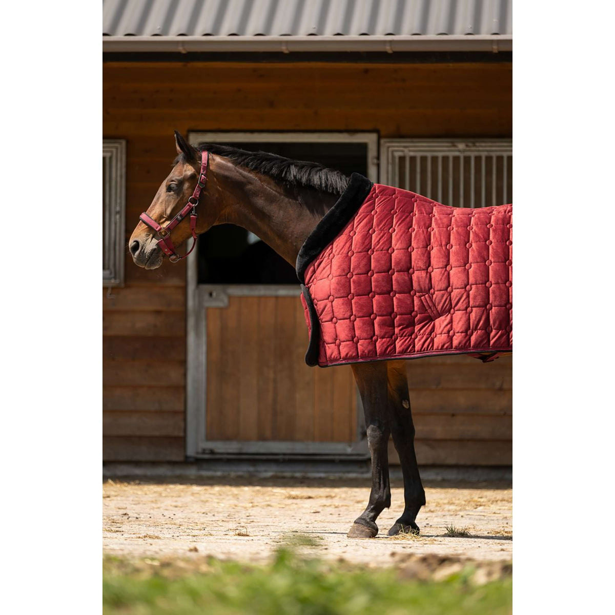 BR Couverture de Concours CLX Cabernet