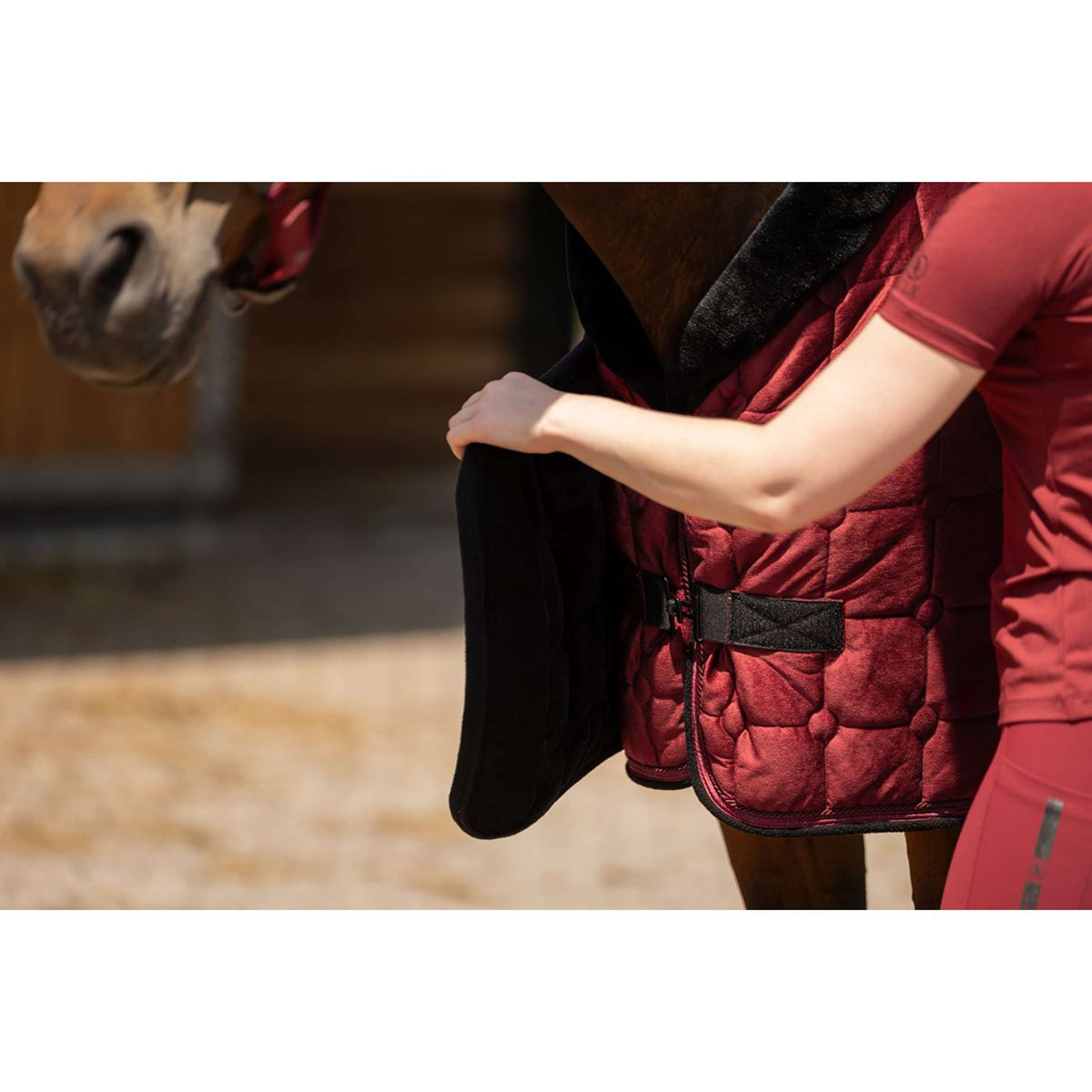 BR Couverture de Concours CLX Cabernet