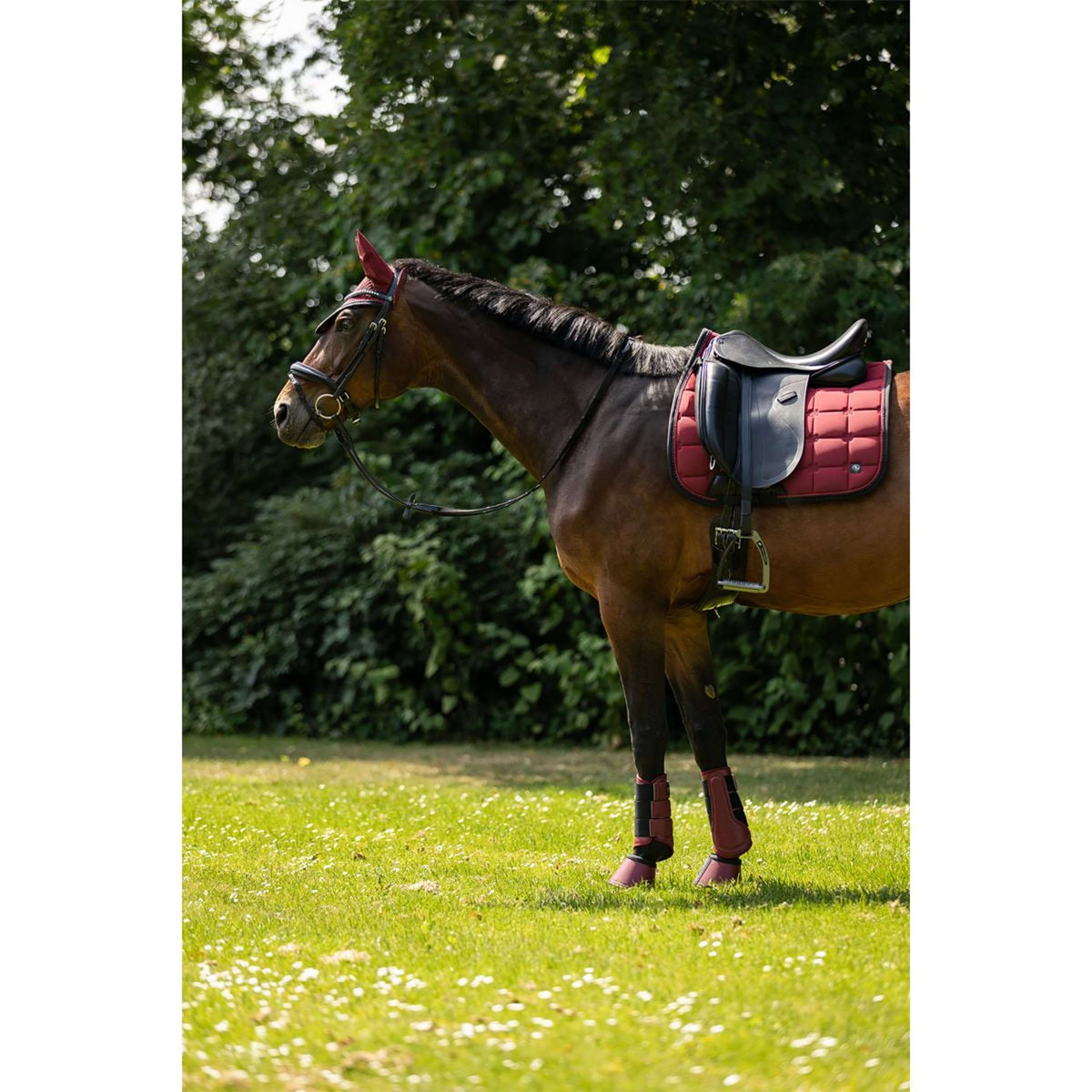 BR Tapis de Selle CLX Dressage Cabernet