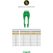 BR Breeches Madison 3/4 Microfiber Seat Marin